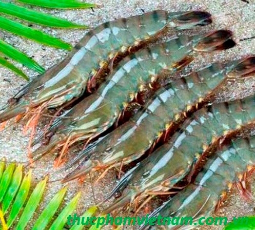 4722 shrimp export vietnam