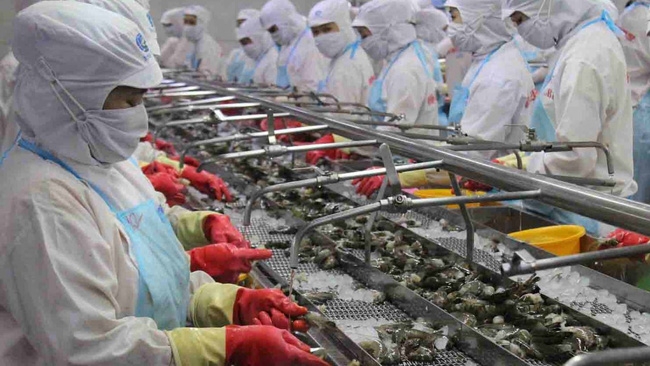 5149 shrimp exports vietnam in 2020