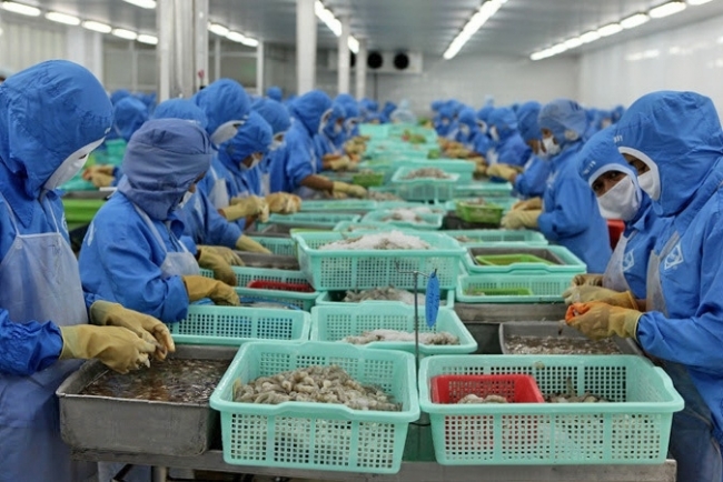 Vietnam's shrimp exports in the first six months up 5.7%