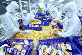 Vietnam’s agricultural exports in July reaches USD 3.4 billion