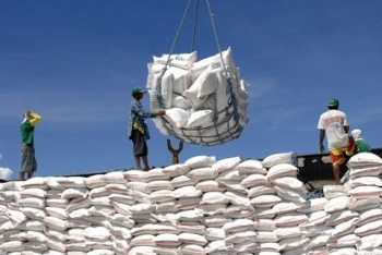 vietnams rice exports to the eu stay modest due to limited quota