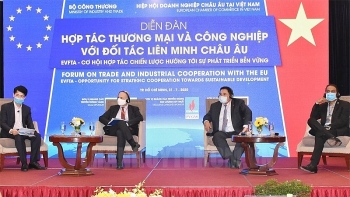 vietnams ho chi minh city to apply solutions to implement evfta