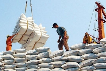 80,000 tonnes of duty-free rice to penetrate into the EU market