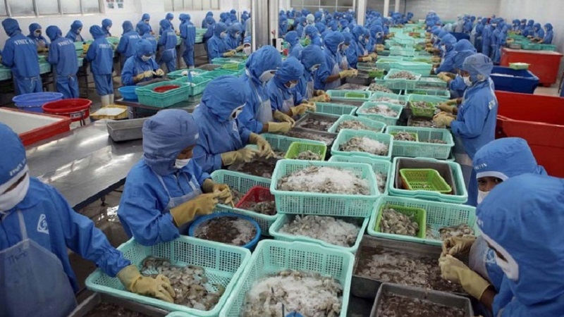 Vietnamese seafood exports increase after EVFTA comes into force