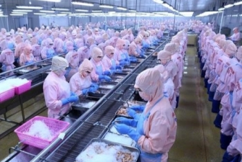 vietnamese seafood exports increase after evfta comes into force