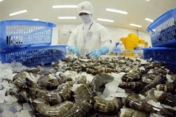 korea raises the import of vietnams shrimps