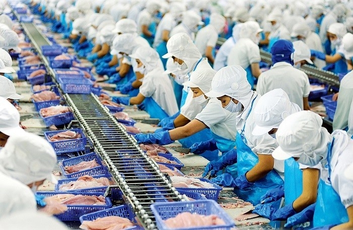 4917 seafood export aquatic vietnam