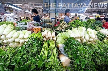 thailand is the largest exporter of vegetables of asean