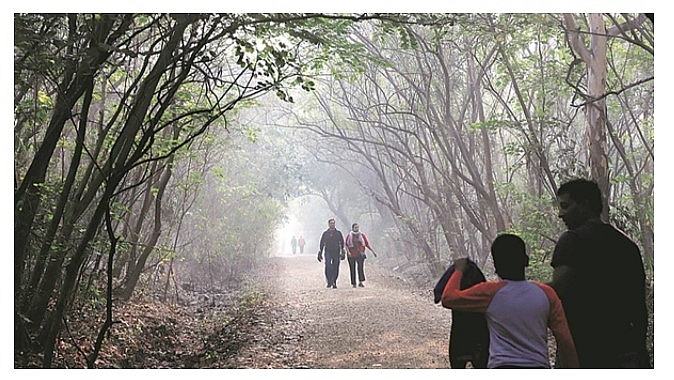 India daily weather forecast latest, january 20: clear and dry conditions to cover most of regions