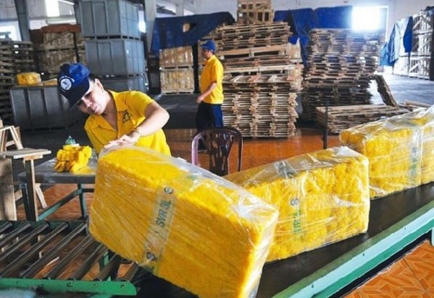 Vietnam Ranks Third In The World In Terms Of Rubber Export Value