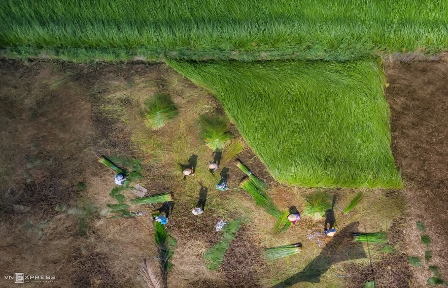 Photos show the beauty of Vietnam's traditional craft villages