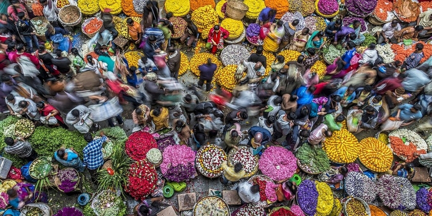 Admiring 5 stunning photos of Vietnam win international awards