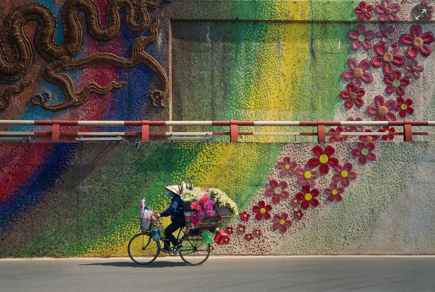 Thanh Nguyen Phuc: Bike With Flowers – Vietnam, winner. 