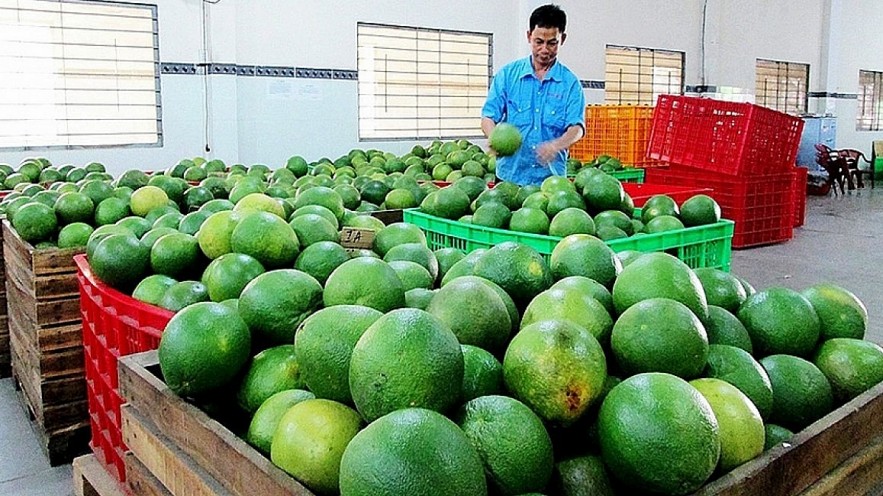 Vietnam's Bright Prospect For Fruit And Vegetable Export To US