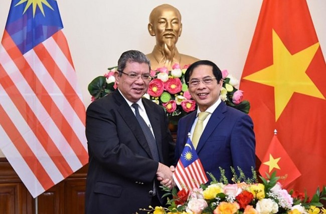 Vietnamese, Malaysia Foreign Ministers Hold Talks In Hanoi