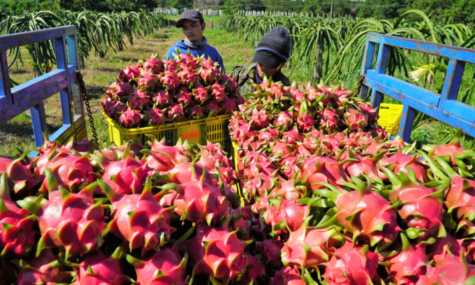 Vietnamese fruit and vegetable businesses seek to meet global demands