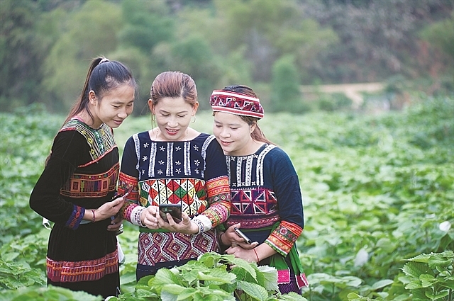 New crop to benefit ethnic minority woman and keep families together