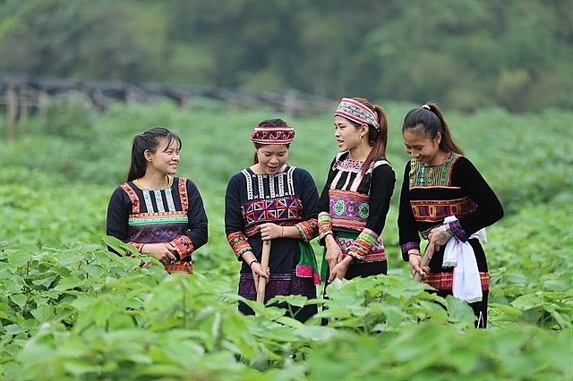 New crop to benefit ethnic minority woman and keep families together