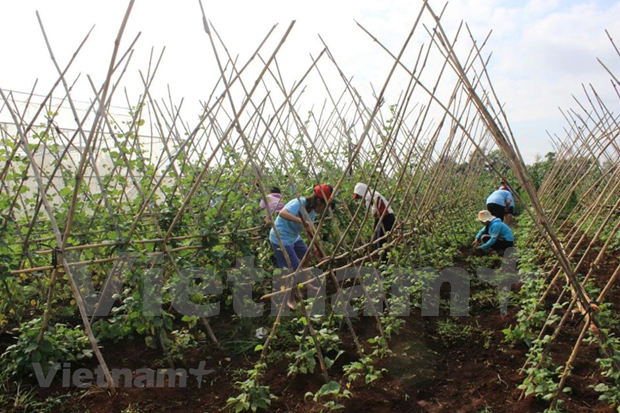 Vietnamese workers' average salary rises in first quarter