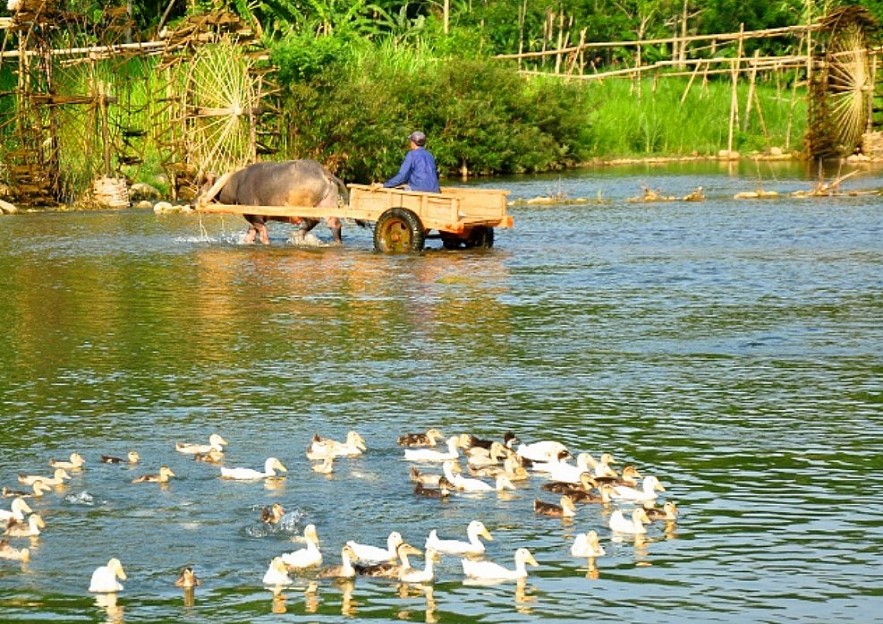Pu Luong Nature Reserve, A Hidden Gem Of Vietnam