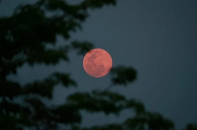 April "Pink Moon": All Things You Need To Know