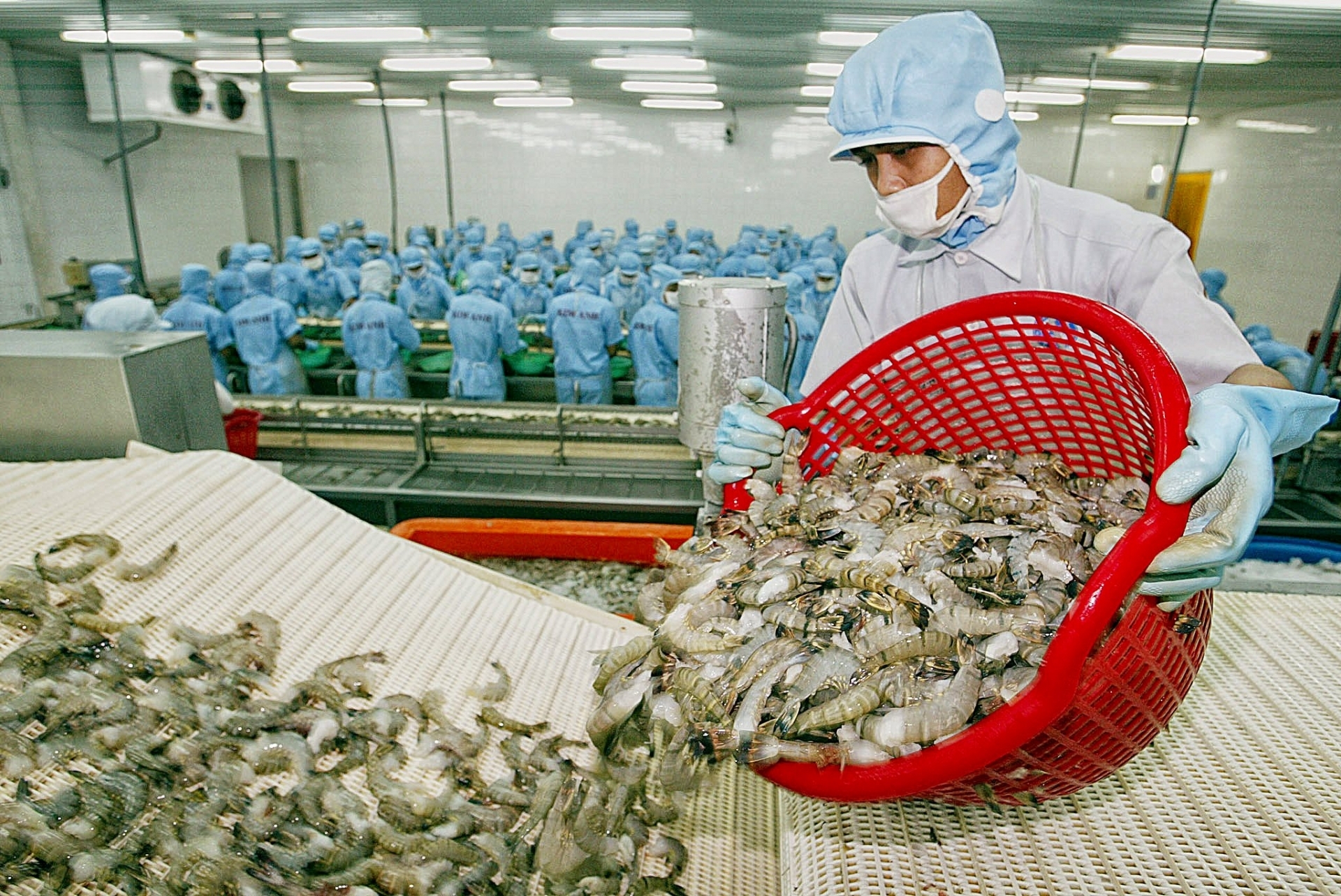 Vietnam shrimp exports head to increase in May amid Covid-19 pandemic