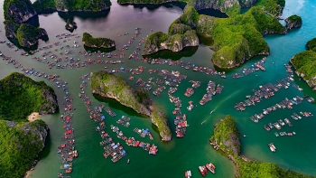 here are 10 things no one tell you about lan ha bay a masterpiece of vietnams nature