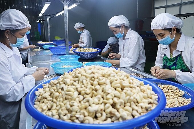 Vietnam's recovery expectation ranks second in ASEAN in agri-food industry