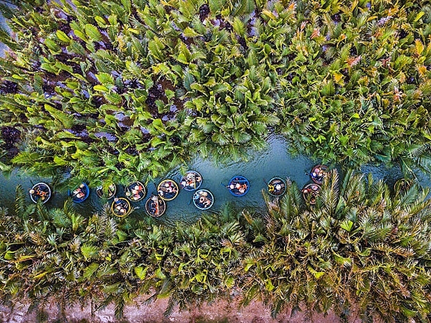 bay mau coconut forest creates a surprising miniature west in the heart of hoi an