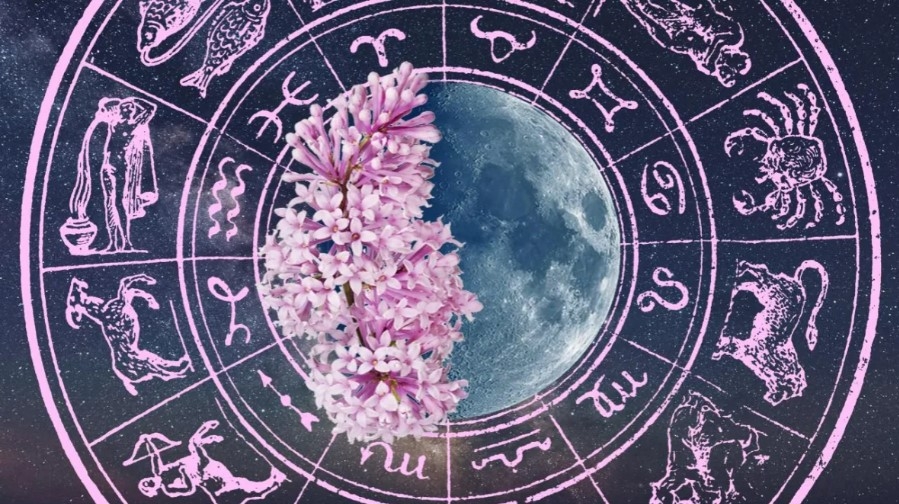 Daily Horoscope June 12: Astrological Prediction for Zodiac Signs with Love, Money, Career and Health