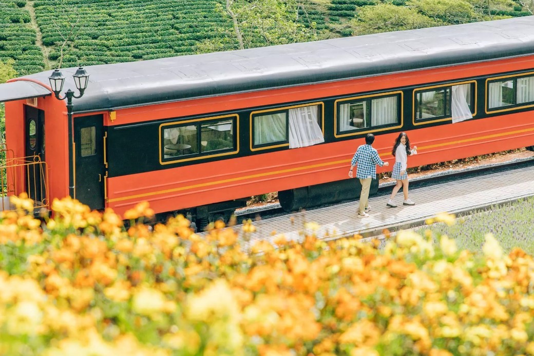 tourists fascinated about red train lost in da lat flower field