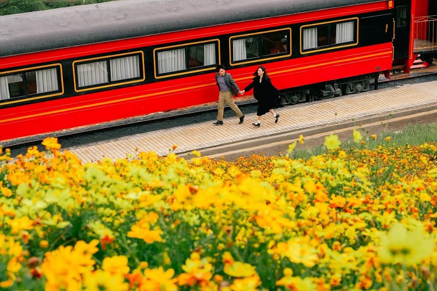 The Red Train Lost In Da Lat Flower Field Attracts Tourists