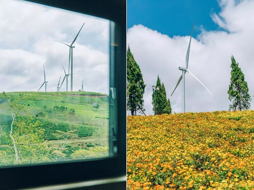 The Red Train Lost In Da Lat Flower Field Attracts Tourists