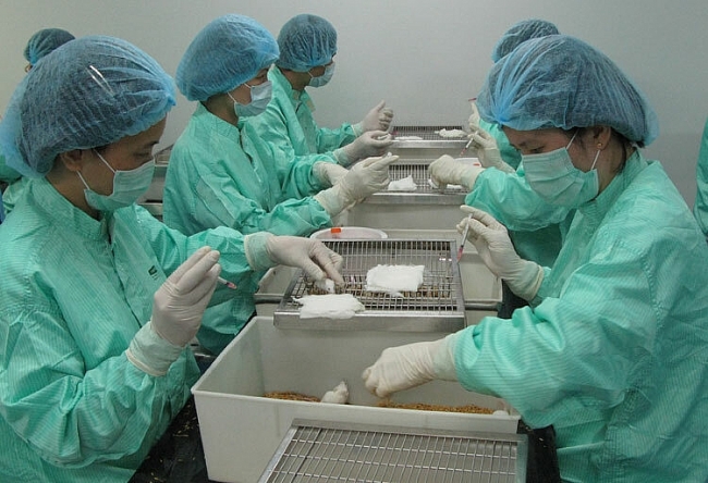 International organizations seek cooperation with Vietnam in COVID-19 vaccine producing