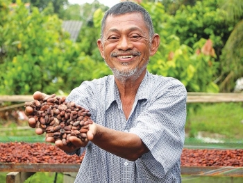 Overseas Vietnamese old man dreams of making 'Made in Vietnam' chocolate