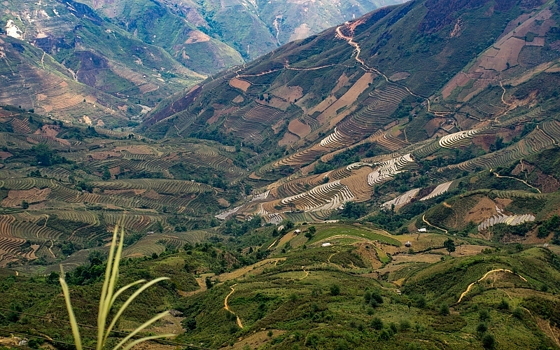 ta xua cloud hunting exploring the most famous dinosaur backbone in vietnam