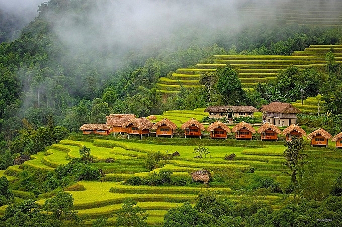 4 special homestays in Ha Giang for the buckwheat season