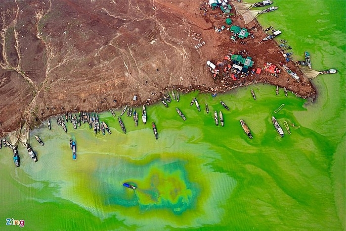 Indulging impressive green algae season in Tri An lake