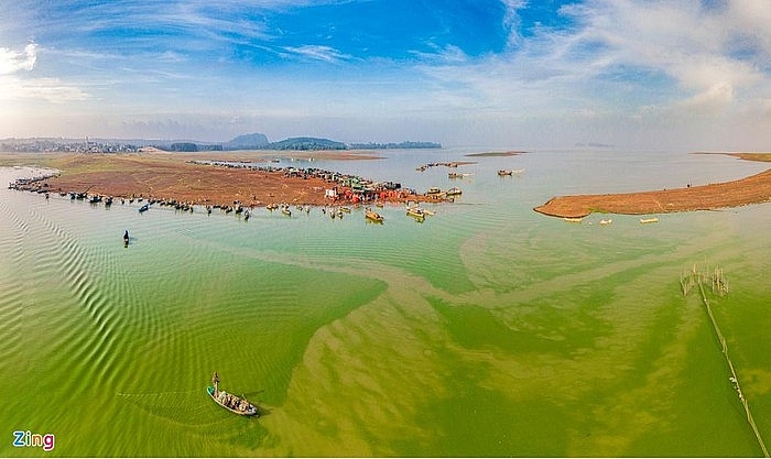 absorbing impressive green algae season in tri an lake