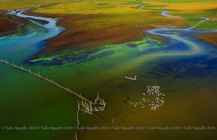 Indulging impressive green algae season in Tri An lake