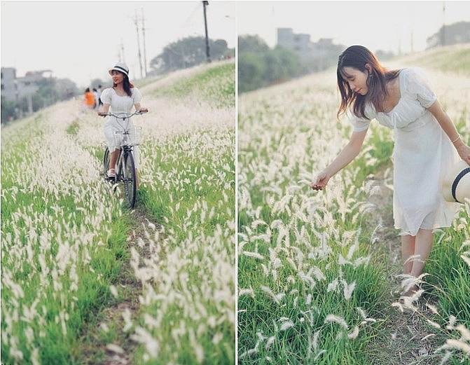 3 picturesque grasslands attract the young in hanoi