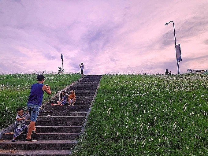 3 picturesque grasslands attract the young in hanoi