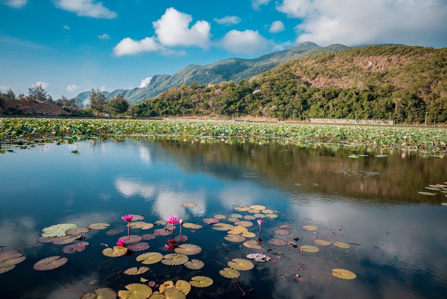 con dao travelling all things you need to know about the top secluded attraction in vietnam