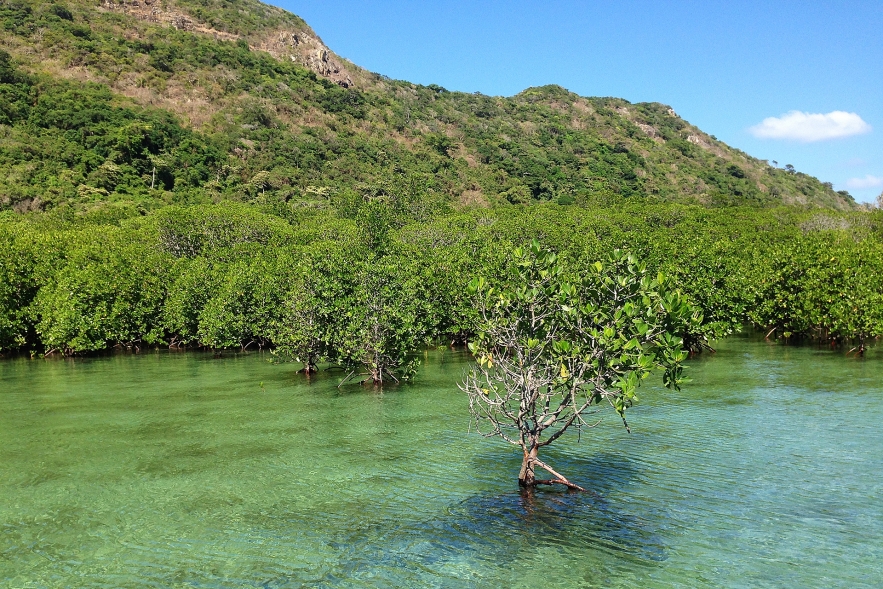 con dao travelling all things you need to know about the top secluded attraction in vietnam