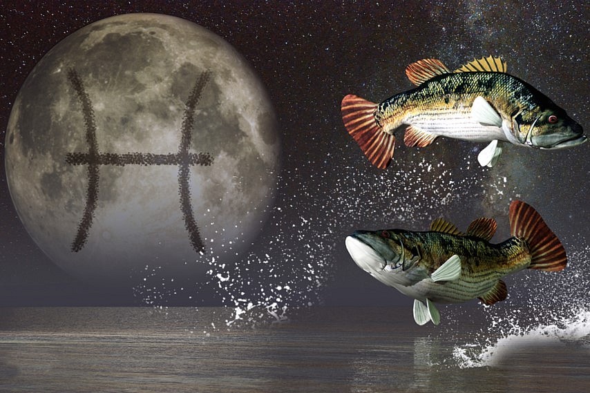 Pisces Horoscope December 2021: Monthly Predictions for Love, Financial, Career and Health