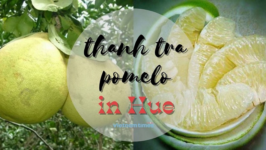 Thanh Tra Pomelo: A Distinctive Taste Of Hue's Symbol