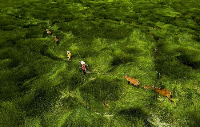 Drone shots taken in Vietnam stun the world at the Drone Photo Awards 2020