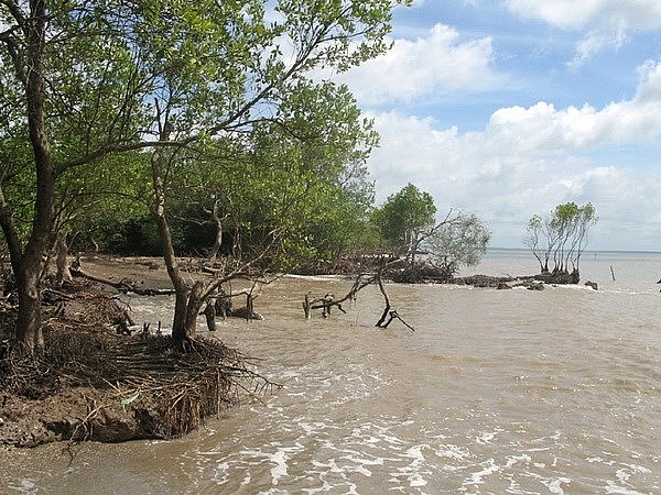 increasing erosion along rivers and canals threatens mekong delta province of tien giang