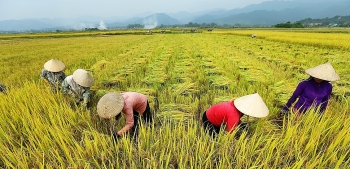 vietnams agriculture sector targets 40 billion export