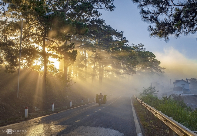 Admiring the mysterious beauty of Da Lat in early winter